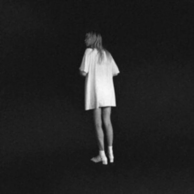 Image of Everything Vinyl