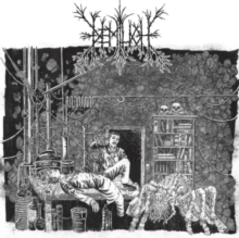 Image of Em9T2Ness of Van2S1Ing/V34Ish6Ng 0F Emptiness CD / Album