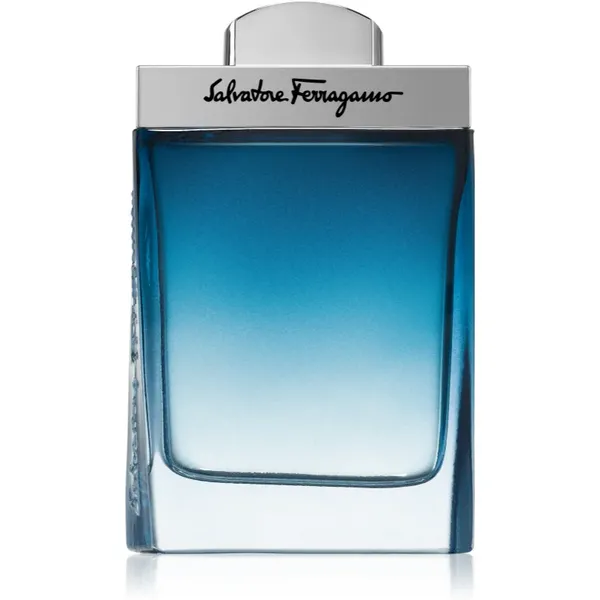 Image of Salvatore Ferragamo Subtil Pour Homme Eau de Toilette For Him 100ml