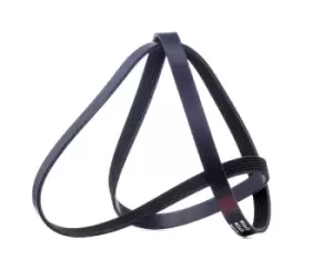 Image of RIDEX V-ribbed belt AUDI,FORD,RENAULT 305P0080 078903137,5750HE,5750PY Serpentine belt,Auxiliary belt,Poly V-belt,Ribbed belt,Multi V-belt,Poly belt