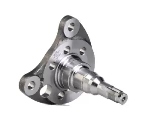 Image of MEYLE Stub Axle 100 501 0012 Kingpin, axle beam VW,SEAT,GOLF III (1H1),GOLF II (19E, 1G1),PASSAT Variant (3A5, 35I),Golf III Cabrio (1E7)