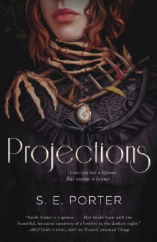 Image of Projections. Paperback. By S E Porter Books