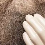 Image of Neil Cowley - Touch And Flee (Music CD)