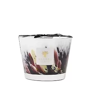 Image of Baobab Collection Rainforest Tanjung Scented Candle 10cm