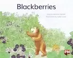 Image of PM Yellow: Blackberries (PM Storybooks) Level 6