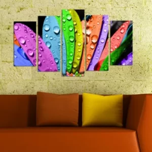 Image of 5PMDF-43 Multicolor Decorative MDF Painting (5 Pieces)