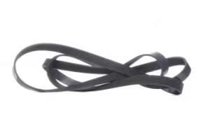 Image of FEBI BILSTEIN Poly V-Belt VW,SKODA,OPEL 29022 059903137H,06E903137AC,06E903137E Ribbed Belt,V Ribbed Belt,Multi V Belt,Poly Belt,V-Ribbed Belts