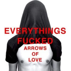 Image of Arrows Of Love - Everythings Fucked Vinyl