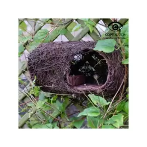 Image of Brushwood Robin Nester