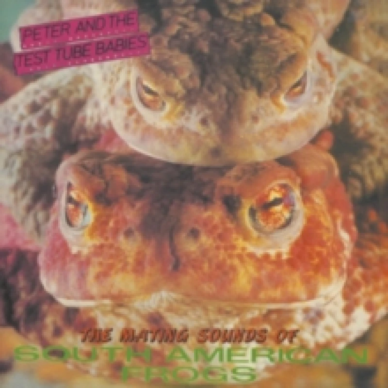 Image of The Mating Sounds of the South American Frogs Vinyl