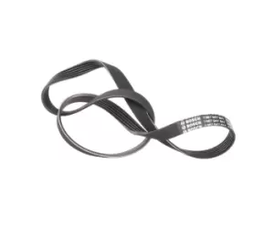 Image of Bosch V-ribbed belt AUDI,BMW,RENAULT 1 987 947 841 GFB91165,GFB91170,GMB51165 11281715636,11281736695,11281736698,11311718672,5PK1165,575091,96053938
