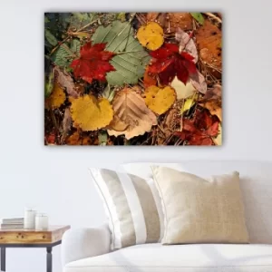 Image of 36954355_70100 Multicolor Decorative Canvas Painting
