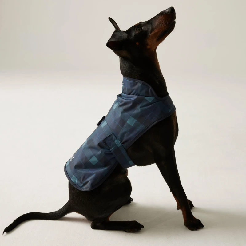 Image of Regatta Arlo Waterproof Dog Coat - Blue Blue L