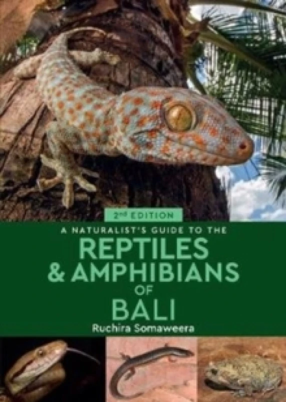 Image of A Naturalist's Guide to the Reptiles & Amphibians of Bali (2nd edition) Paperback / softback