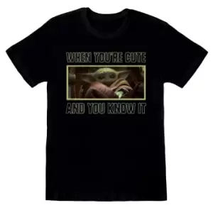 Image of Star Wars: The Mandalorian Unisex Adult Cute And Knows It T-Shirt (M) (Black)