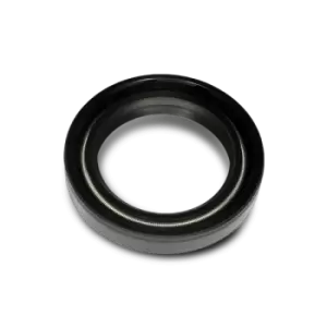 Image of FAST Gaskets FT49785 Shaft Seal, differential