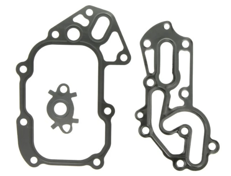 Image of LEMA 70054.25 Gaskets Gasket Set,oil cooler (557)