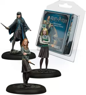 Image of Harry Potter Miniatures Adventure Game Dumbledore's Army Expansion Board Game
