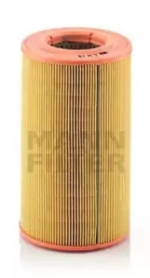 Image of Air Filter C14176 By Mann-Filter