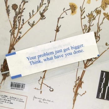 Image of Elliot Moss - A Change In Diet Vinyl