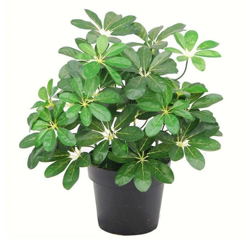 Image of Leaf Artificial Bush Arboricola Plant 55Cm Small Bush, Green 7055-V2AZ