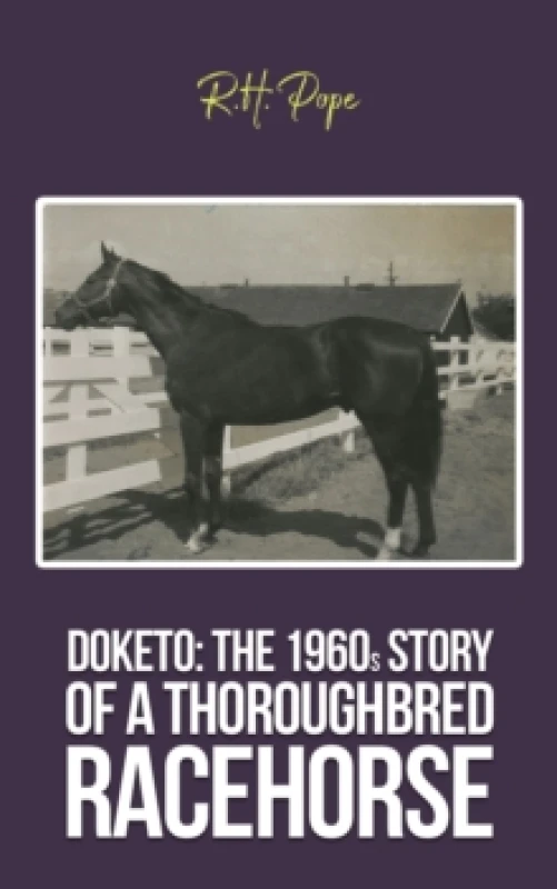 Image of Doketo: The 1960s Story of a Thoroughbred Racehorse Paperback / softback