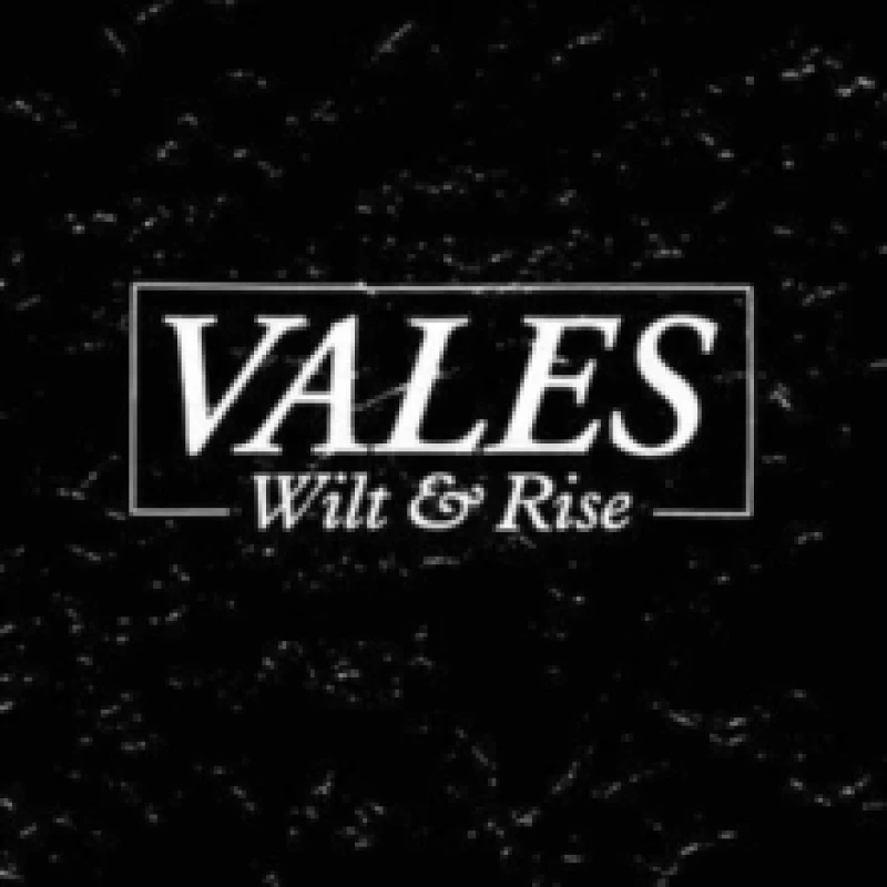 Image of Wilt & rise CD / Album