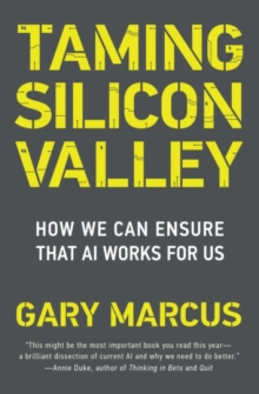 Image of Taming Silicon Valley : How to Protect Our Jobs, Safety, and Society in the Age of AI Paperback / softback