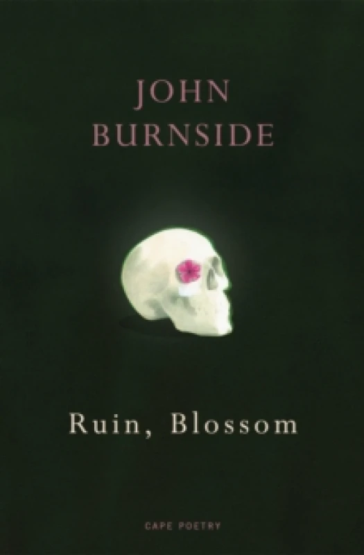 Image of Ruin, Blossom Paperback / softback