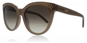 Image of Chloe Boxwood Sunglasses Turtledove 272 55mm