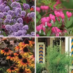 Image of Thompson & Morgan Nurserymans Choice Nursery Stock 1 Litre Pot x 5