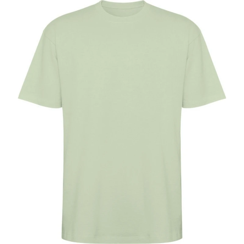 Image of ROLY ROLY Men Bull Oversized Short-Sleeved T-Shirt in Light Green Size: X-Small Light Green XS Male 5063806098171