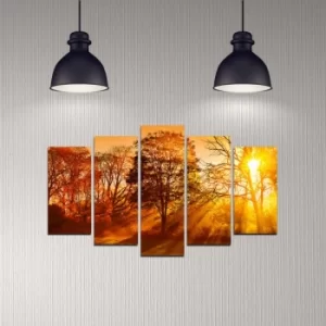 Image of 5DMDF-21 Multicolor Decorative MDF Painting (5 Pieces)