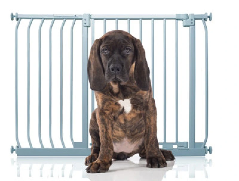 Image of Bettacare Elite Pressure Dog Gate, 107Cm - 116Cm, Matt Grey, Pressure Fit Pet Gate For Dog And Puppy