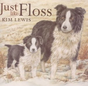 Image of Just like Floss by Kim Lewis Paperback