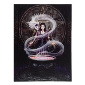Image of 19 x 25cm The Summoning Canvas Plaque By Anne Stokes