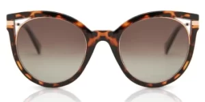 Image of Polaroid Sunglasses PLD 4067/S Polarized 086/LA