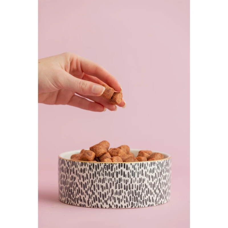 Image of Mason Cash Splatter Pet Bowls Dog Bowls 15cm Gold 71074810000