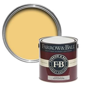 Image of Farrow & Ball Estate Citron No. 74 Matt Emulsion Paint 2.5L