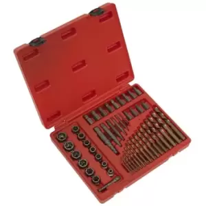 Image of AK8149 Master Extractor Set 49pc - Sealey