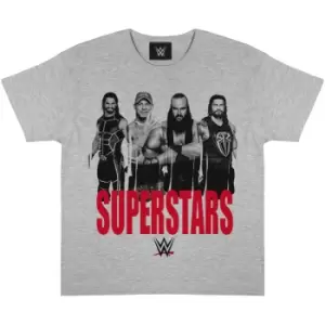 Image of WWE Girls Superstars T-Shirt (5-6 Years) (Heather Grey/Black/Red)