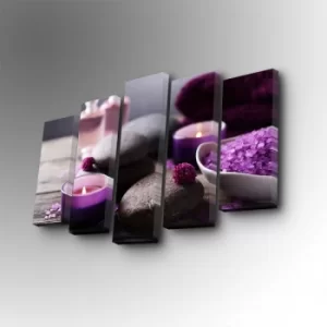 Image of 5PUC-106 Multicolor Decorative Canvas Painting (5 Pieces)