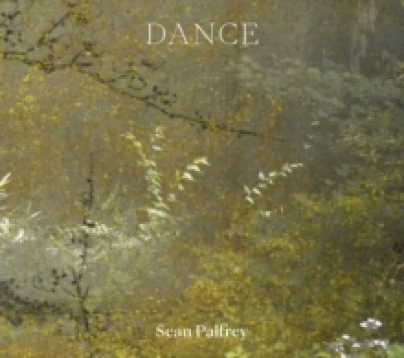 Image of Sean Palfrey - Dance. Paperback. By Sean Palfrey Books