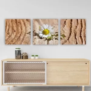 Image of PDR74736 Multicolor Decorative Canvas Painting (3 Pieces)