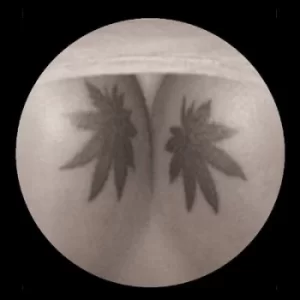 Image of Small Room by J. Albert Vinyl Album