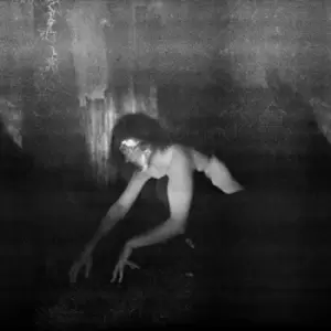 Image of Demande A La Poussiere - Quietude Hostile CD