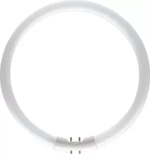 Image of Philips 22w T5 Circular Tube Cool White - 64221925