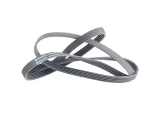 Image of CONTITECH V-ribbed belt BMW,LAND ROVER,ROVER 5PK2030 11282247191,11282247742,11287785831 11287787368,2247191,2247742,7785831,7787368,PQS101300