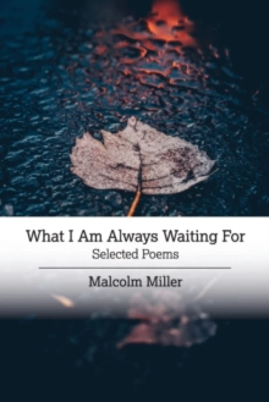 Image of What I Am Always Waiting For : Selected Poems Paperback / softback