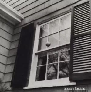 Image of What a Pleasure by Beach Fossils CD Album